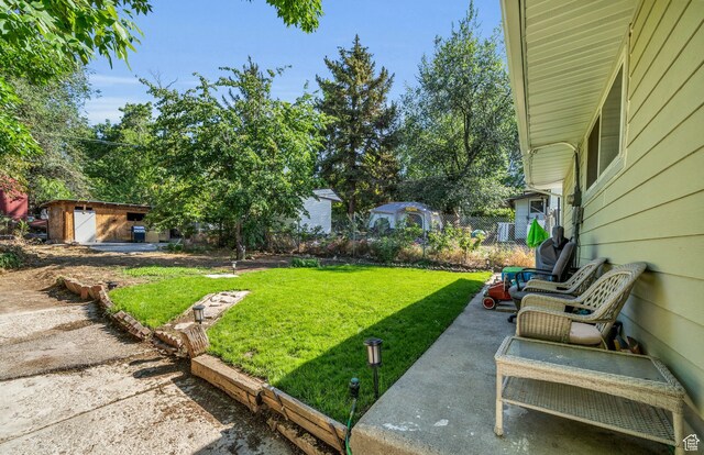 view of yard featuring a patio and a storage unit