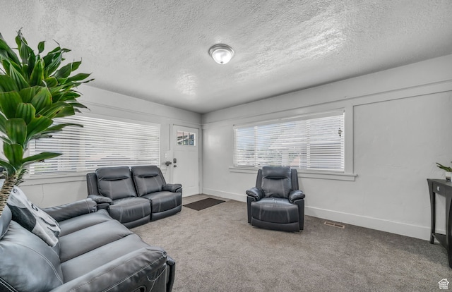 living room featuring a textured ceiling and carpet flooring