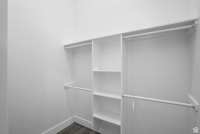 spacious closet featuring dark wood finished floors