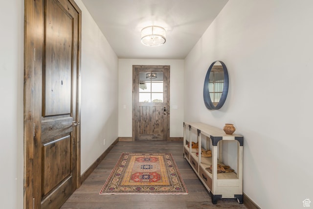 doorway with dark hardwood / wood-style flooring