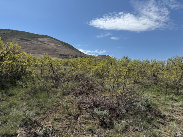 13200 198, Santaquin, UT 84655