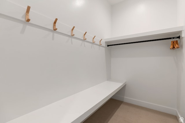 70 W 350 S, Garden City, UT 84028 - walk in closet with light colored carpet