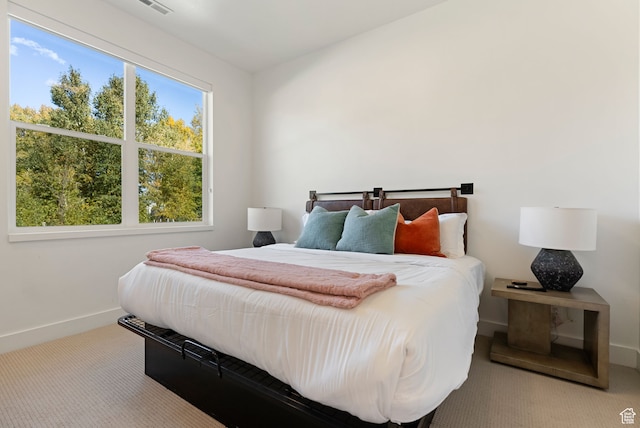 70 W 350 S, Garden City, UT 84028 - view of carpeted bedroom