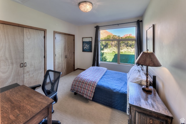 425 Amber Ln, Castle Valley, UT 84532 - carpeted bedroom with multiple closets