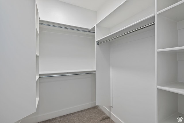 spacious closet featuring carpet