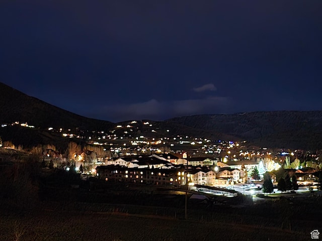 556 N Olympic Way Unit 38, Midway, UT 84049 - city view with a mountain backdrop
