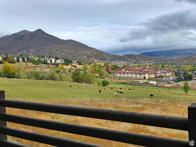 556 N Olympic Way Unit 38, Midway, UT 84049 - mountain view