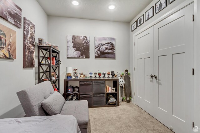 1441 E Snowflake Ave N, Eagle Mountain, UT 84005 - photo 44