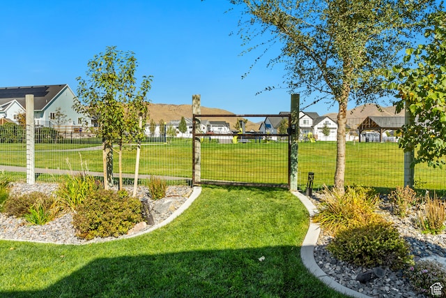 1441 E Snowflake Ave N, Eagle Mountain, UT 84005 - view of yard