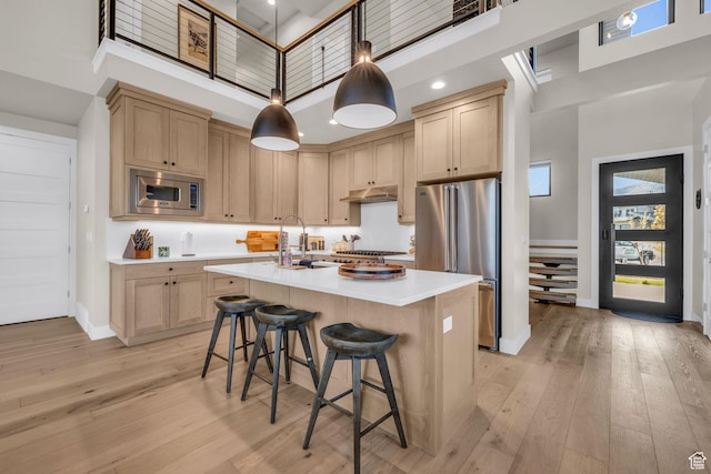 kitchen featuring a sink, stainless steel appliances, under cabinet range hood, baseboards, and a towering ceiling