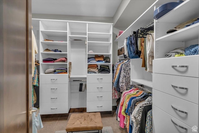 644 W Wild Indigo Way, Ivins, UT 84738 - view of spacious closet