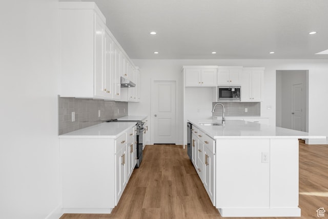 kitchen with a sink, stainless steel microwave, under cabinet range hood, electric stove, and light wood finished floors