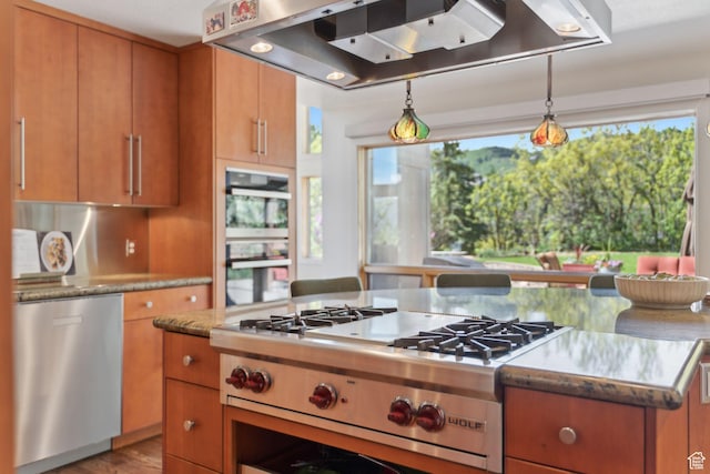 3797 Blacksmith Rd, Park City, UT 84098 - kitchen with appliances with stainless steel finishes, extractor fan, plenty of natural light, and brown cabinets