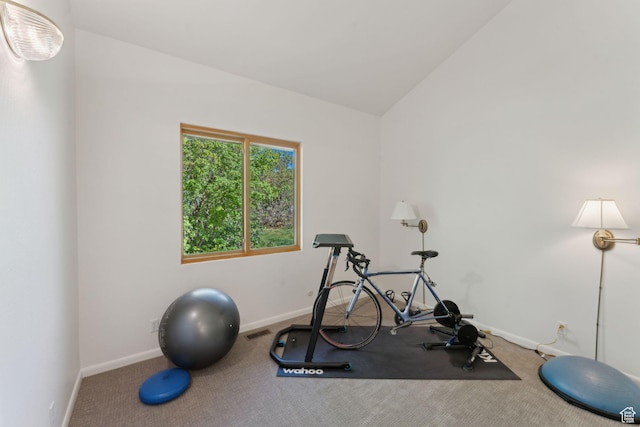 3797 Blacksmith Rd, Park City, UT 84098 - exercise room featuring baseboards, carpet, and vaulted ceiling