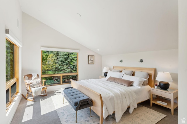 3797 Blacksmith Rd, Park City, UT 84098 - carpeted bedroom featuring lofted ceiling
