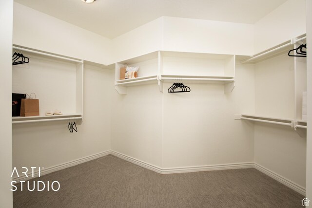 14714 S Pristine Dr E, Draper, UT 84020 - spacious closet with carpet flooring