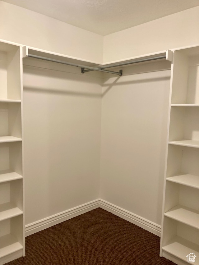 5046 W 4250 S, West Haven, UT 84401 - spacious closet featuring dark colored carpet