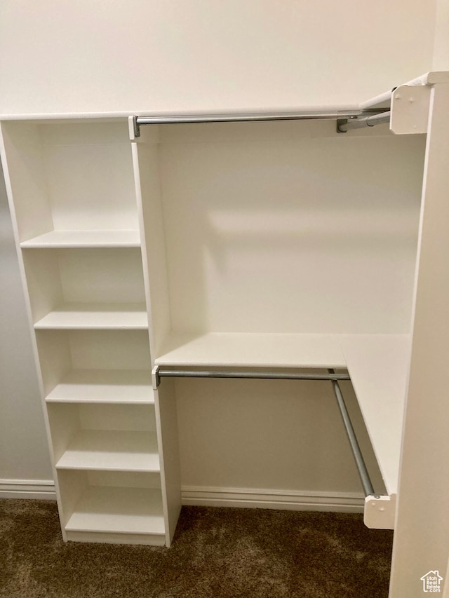 5046 W 4250 S, West Haven, UT 84401 - spacious closet with dark colored carpet