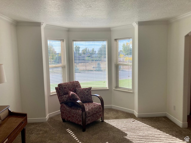 5046 W 4250 S, West Haven, UT 84401 - sitting room with baseboards, dark carpet, and crown molding