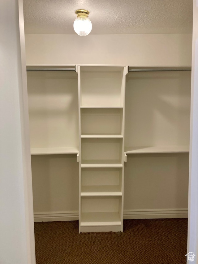 5046 W 4250 S, West Haven, UT 84401 - spacious closet with dark carpet
