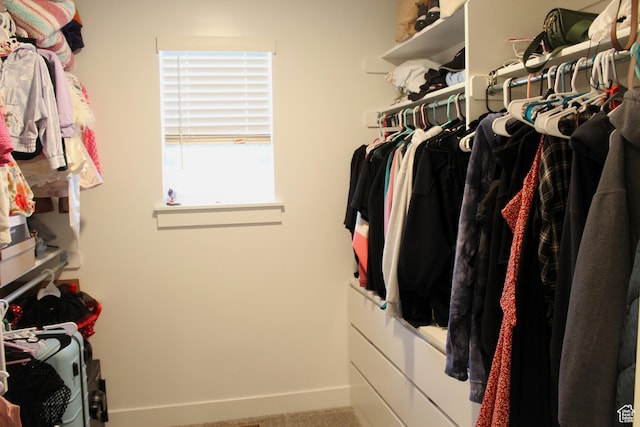 953 N 900 W, Tremonton, UT 84337 - spacious closet with carpet floors
