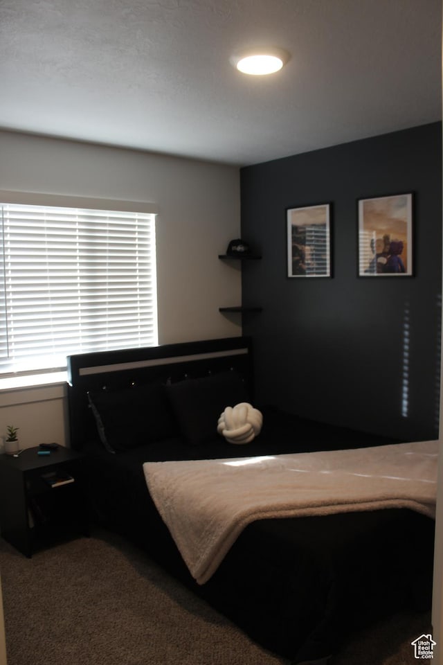 953 N 900 W, Tremonton, UT 84337 - bedroom featuring carpet flooring