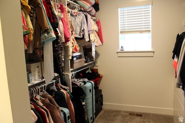 953 N 900 W, Tremonton, UT 84337 - walk in closet featuring carpet flooring and visible vents