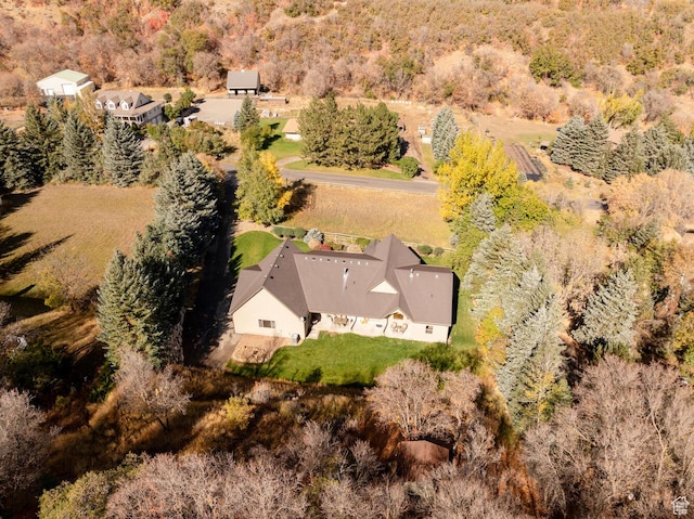 10569 S Covered Bridge Dr, Spanish Fork, UT 84660 - view from above of property