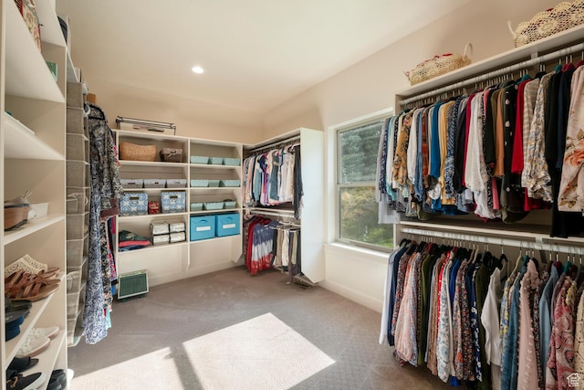 10569 S Covered Bridge Dr, Spanish Fork, UT 84660 - spacious closet featuring carpet flooring