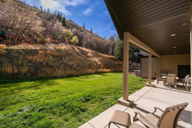 10569 S Covered Bridge Dr, Spanish Fork, UT 84660 - view of green lawn with a patio area, outdoor dining space, and central AC