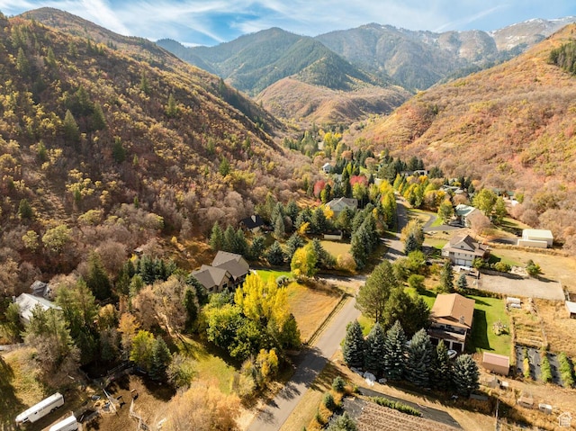 10569 S Covered Bridge Dr, Spanish Fork, UT 84660 - aerial view of property and surrounding area with mountains