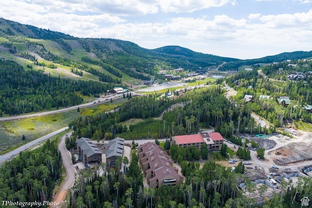 150 W Ridge View St Unit 240, Brian Head, UT 84719