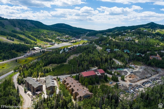 150 W Ridge View St Unit 240, Brian Head, UT 84719
