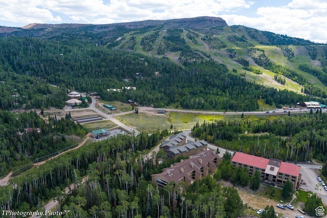 150 W Ridge View St Unit 240, Brian Head, UT 84719