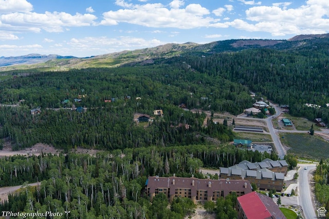 150 W Ridge View St Unit 240, Brian Head, UT 84719