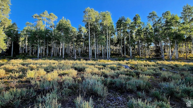 Unit 10, Annabella, UT 84711