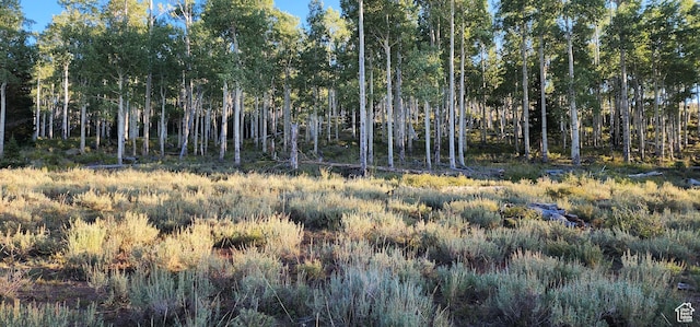 Unit 10, Annabella, UT 84711