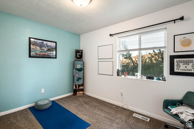 2668 N 550 W, Cedar City, UT 84721 - workout area featuring carpet flooring and a textured ceiling