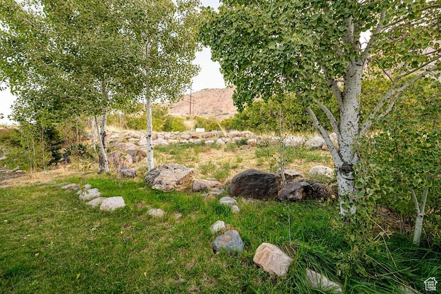325 E 100 N, Willard, UT 84340 - view of yard