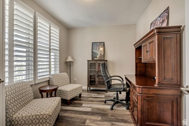 office area featuring wood finished floors