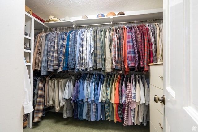 452 S 100 W, Salina, UT 84654 - walk in closet featuring carpet floors