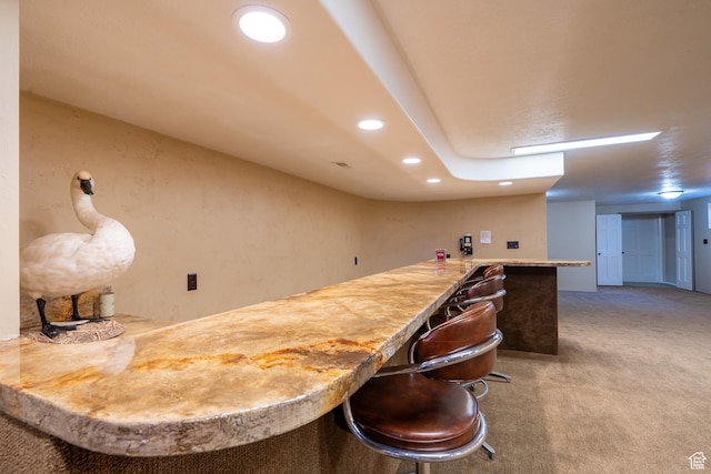 452 S 100 W, Salina, UT 84654 - bar with recessed lighting and carpet