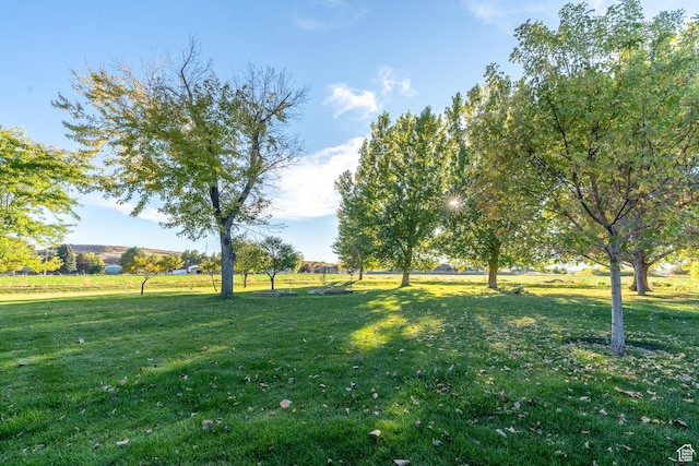 452 S 100 W, Salina, UT 84654 - view of yard
