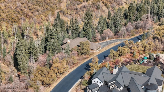 4170 Moosehollow Rd, Park City, UT 84098 - aerial view of a forest