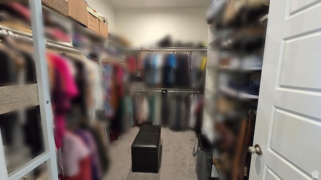 697 N 3275 W, Layton, UT 84041 - spacious closet featuring carpet
