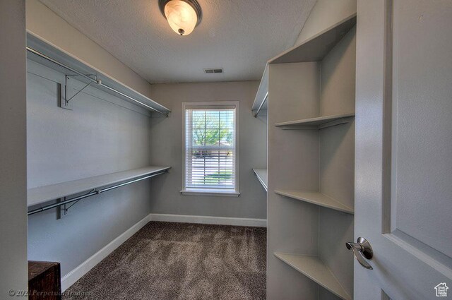 2304 Spanish Valley Dr, Moab, UT 84532 - spacious closet featuring dark colored carpet