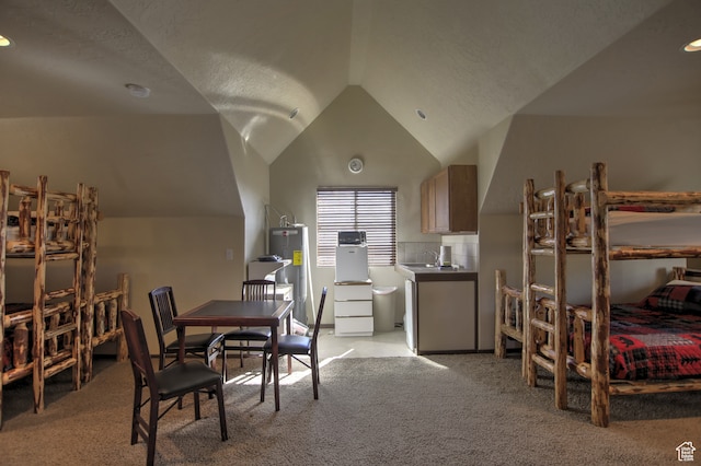 21 Gentle Ben Cir, Fish Haven, ID 83287 - dining area featuring lofted ceiling, electric water heater, and light colored carpet