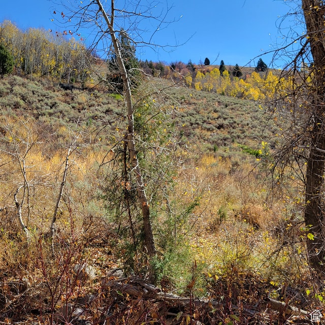 101 Beaver Crk Unit 101, Huntsville, UT 84317