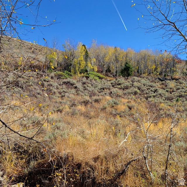 101 Beaver Crk Unit 101, Huntsville, UT 84317