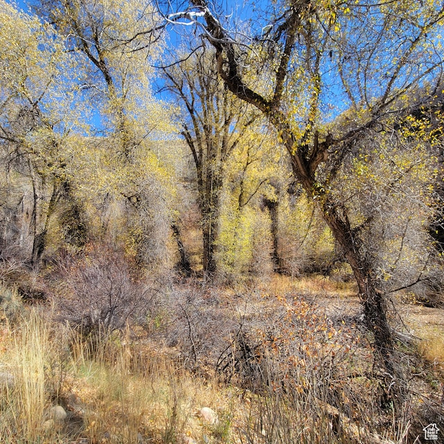 101 Beaver Crk Unit 101, Huntsville, UT 84317